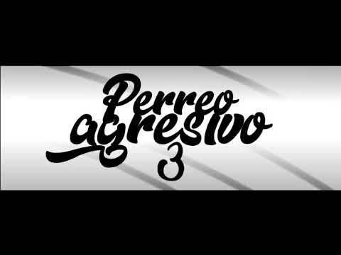 👅Perreo Agresivo 3 - THOMY DJ👅