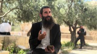 תהילים (ישיבת הר הבית) - התמונה מוצגת ישירות מתוך אתר האינטרנט יוטיוב. זכויות היוצרים בתמונה שייכות ליוצרה. קישור קרדיט למקור התוכן נמצא בתוך דף הסרטון