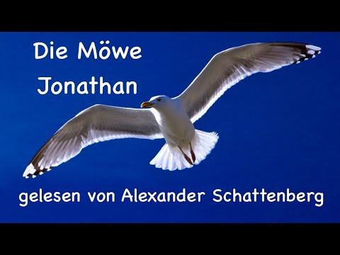 Die Möwe Jonathan - Teil 1.1