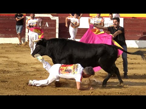 Concurso con Toros Bravos Roa 2022