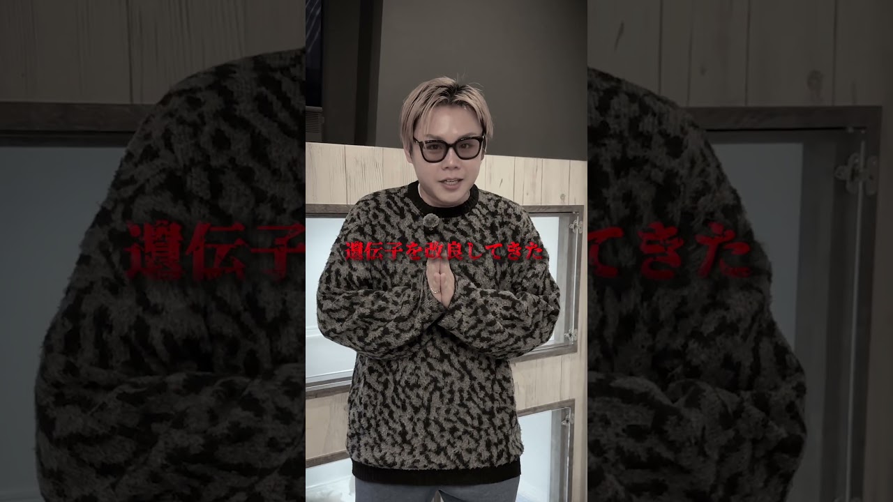 改良されつづけた犬猫の現実を教えます #犬 #猫