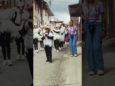 Banda sinfónica de monte bonito 🌴🌴 Marulanda -Caldas🌴🐑🌴