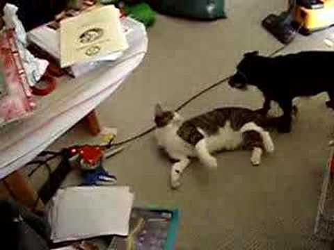 Susi und Baby // Susi will Baby beglücken =)