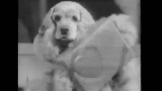 Alidaxo -  Tinder for One [Teaser #2]