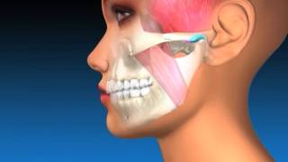 TMJ Explanation &amp; Therapy