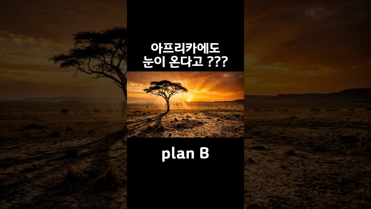 아프리카에 눈이 온다고? ⛄️ 우리가 몰랐던 상식 뒤편의 사실 (Plan B)