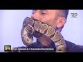 Gjarpri Për Pak Mbyt Të Zotin Në Studio Live Shqipëria Live 10 Shkurt 2020