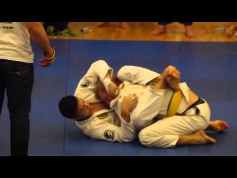 English BJJ Open 2013 - Purple Adult - Under 82.3KG - Viking Wong