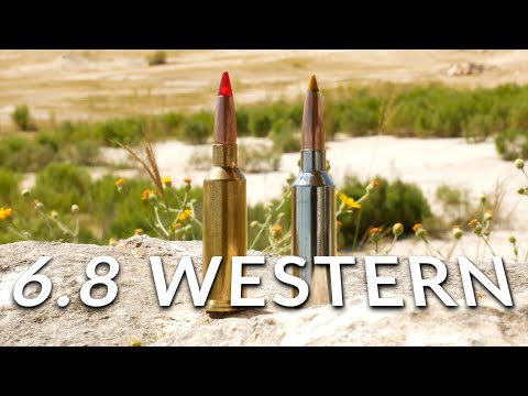 375 H\u0026H Winchester Model 70 Safari Express range review