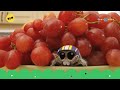 Cartoonito UK New Lucas The Spider Now Bumper