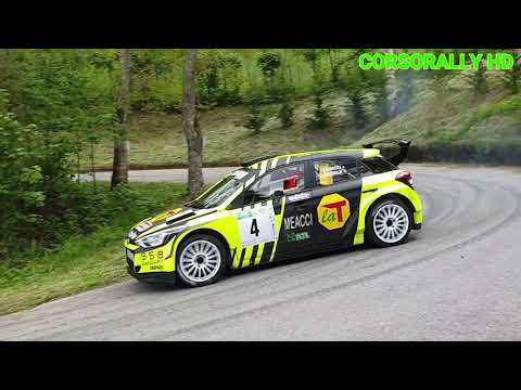 37° Rally degli Abeti e dell'Abetone 2019 Crash, Show and Mistake