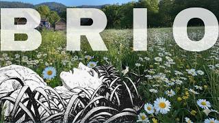 Brio A Única Coisa Que Ninguém Pode Te Dar  (pra ouvir enquanto faz outra coisa)