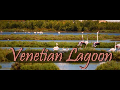 4k | Italy | Treporti | Venetian Lagoon 🇮🇹 #travel #europe #europetravel