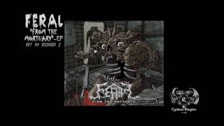 FERAL - The Cult Of The Head  (Official Audio Video)