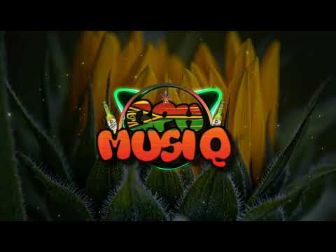 Afunika - Malinso (Dj Rim Remix) 2009