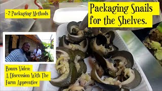 Packaging Snails for sales