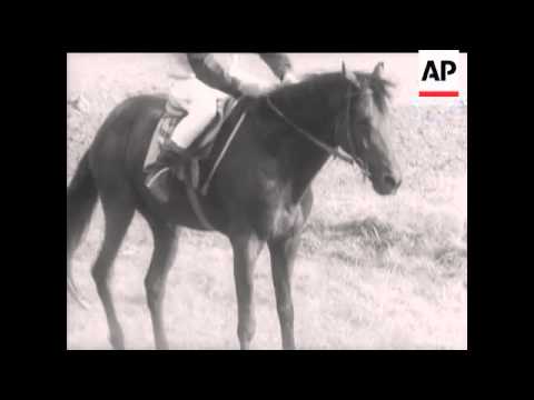 PARDUBICE STEEPLECHASE