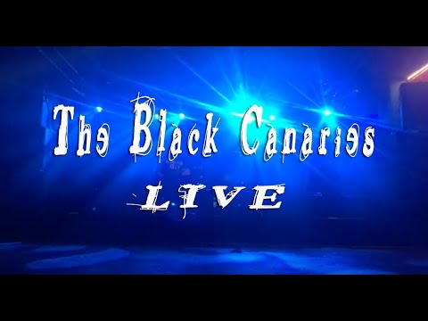 Nirvana - "where did you sleep last night" (cover LIVE by The Black Canaries) at Bandhaus Leipzig