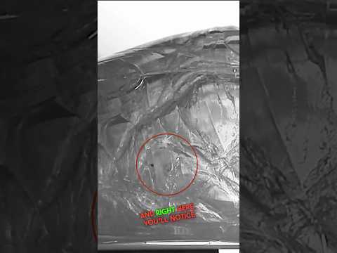 Nosler's Trophy Grade™ Ammunition