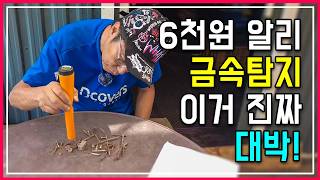 새로운 장난감! 6천원대 금속탐지기로 잃어버린 농기계 부품 10초 만에 찾기