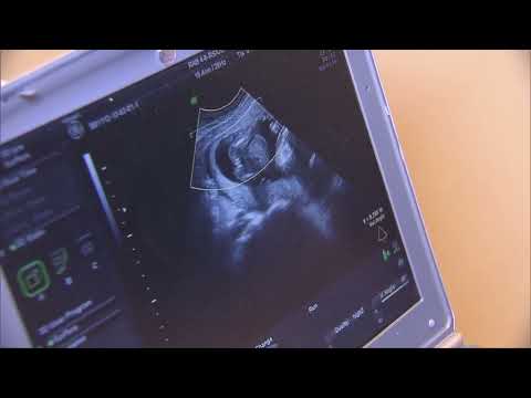 PSS Expectant & New Parents