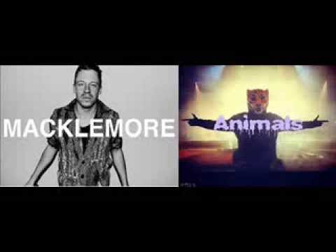 Macklemore vs Martin Garrix   Animals Danced Mashup