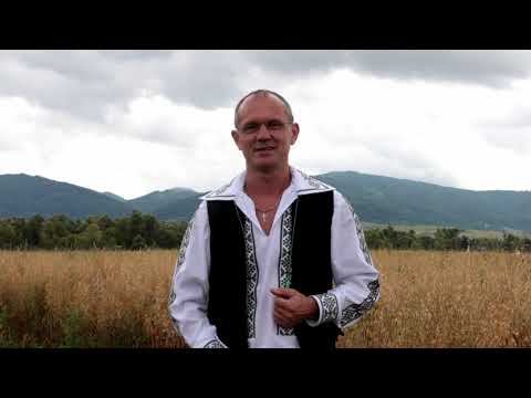 Bebe Dragomir -Pică floarea de cais!