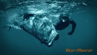 Мир рыбалки и охоты ростов