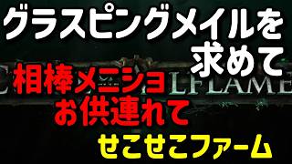 【Path of Exile】大分過疎ってきましたね・・・【3.29】