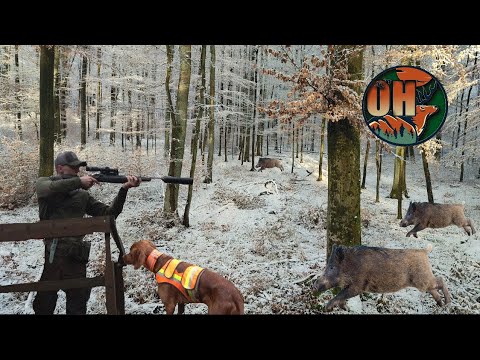 DRÜCKJAGD Highlights 21/22 I DRIVEN HUNT Highlights 21/22