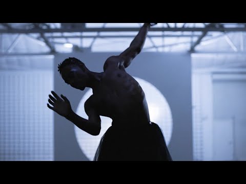 Video thumbnail for Black Swan