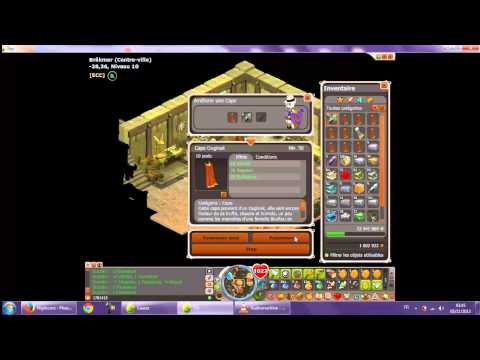 comment avoir des rune ra fo dofus