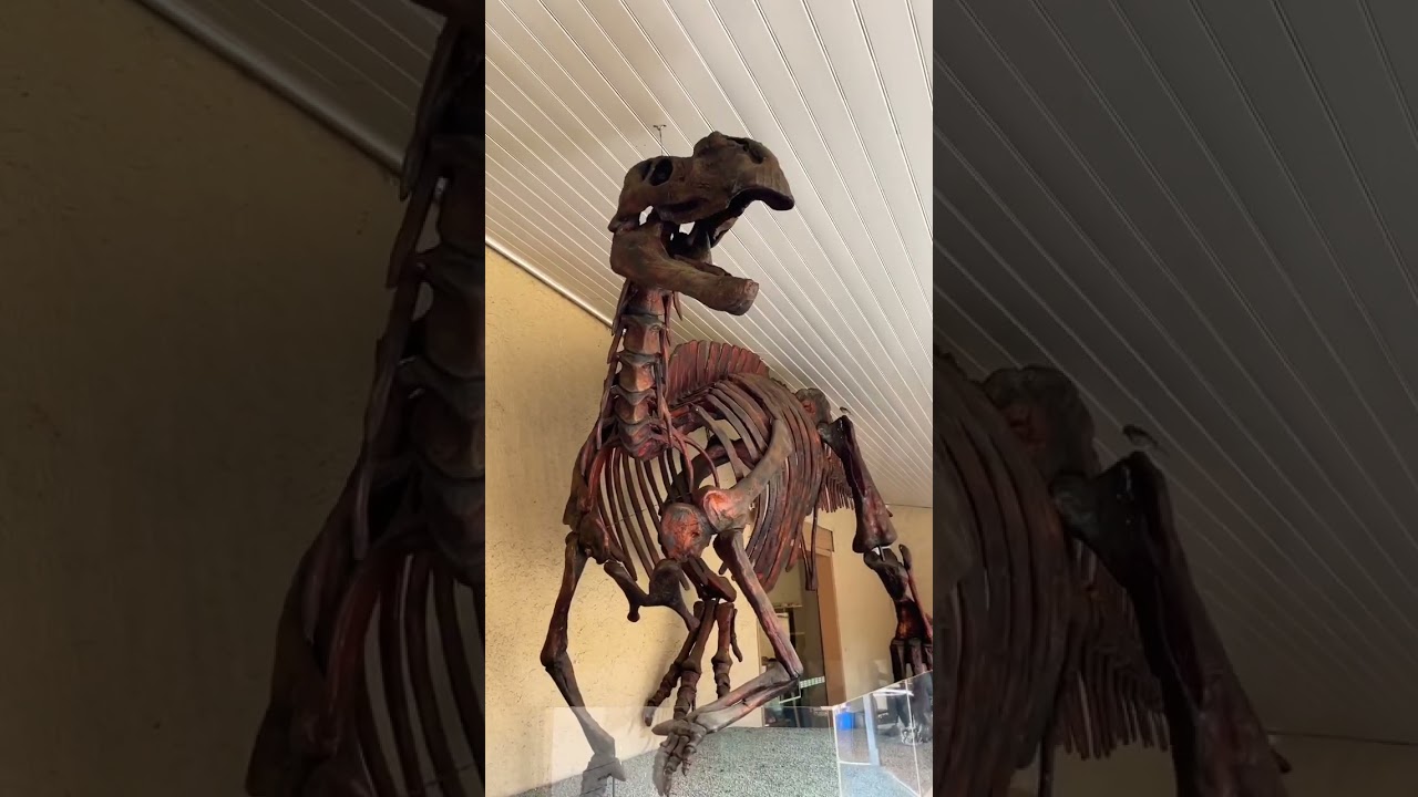 YouTube Short thumbnail