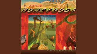 Were the Heavens Standing Blindly?