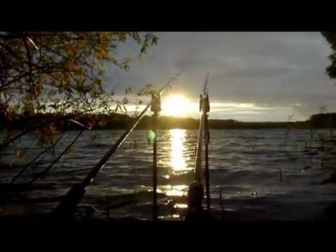 Karpfenangeln-82-Videotagebuch-MLotz