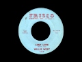 Willie West - Lost Love