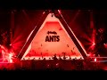 GREG ANTS Live At Laroc Club Brazil
