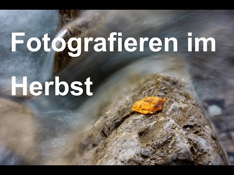 5 Tipps für das Fotografieren im Herbst