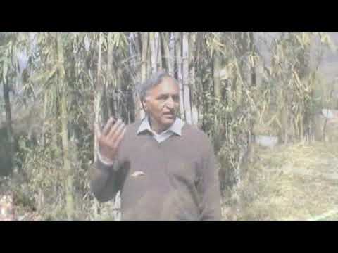 Daagh-e-Dil Hum Ko Yaad Aane Lage - RAHI BAINS