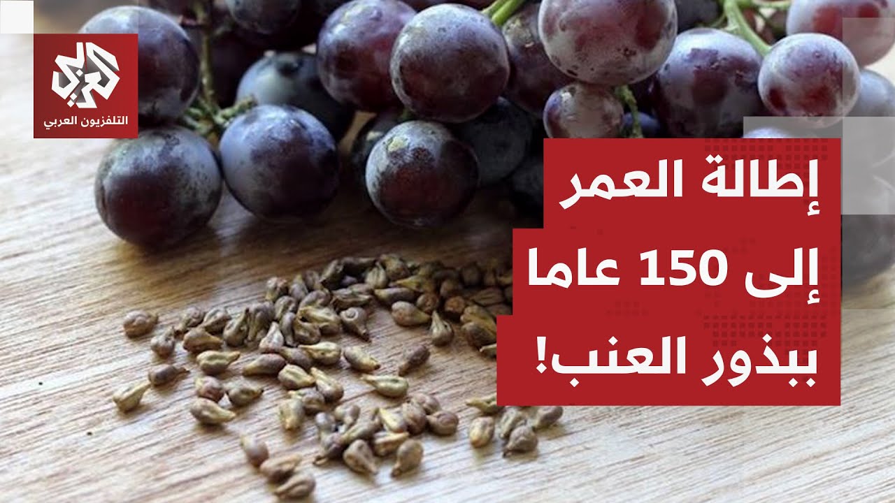 حديث جانبي بين بينغ وبوتين يتحول إلى حقيقة.. الصين تكشف عن تكنولوجيا وأبحاث ل?