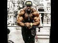 KALI MUSCLE | QUESTIONS & ANSWERS {✅ SPONSOR GOAL 63/100}
