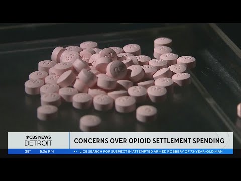 A look at how Michigan's opioid settlement money can be spent