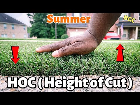 Should you change mowing Height in Summer heat or Drought on Bermuda Grass