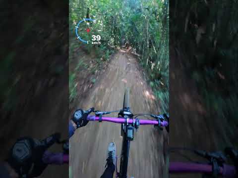 Trilha da jaqueira em pernambuco recife igarassu monjope #monjopefreeride  #copadomundomtb #amtb