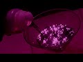 Future The Percocet Stripper Joint Slowed Reverb
