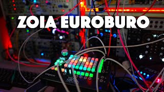 Video thumbnail for Empress Effects Zoia Euroburo - First Sounds and Patches Demo by Stephen McLeod