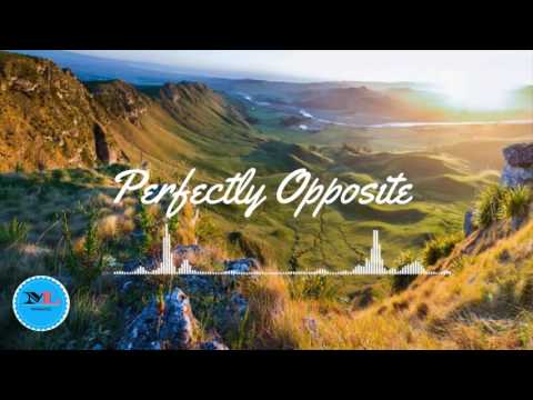 Perfectly Opposite  By  Simon Gribbe [ 2010s Pop Music]