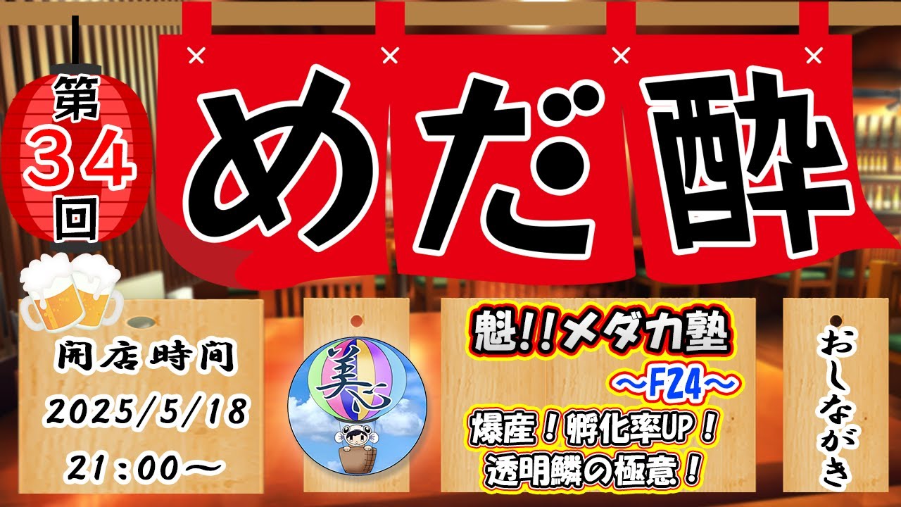 第34回「めだ酔」♪ 魁!!メダカ塾～Ｆ２４～【爆産・孵化率ＵＰ・透明鱗の極意】＃Ｌ３５