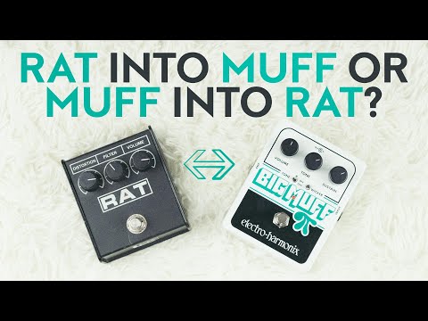 Rat into Muff or Muff into Rat? - Experimenting with ProCo Rat and Electro Harmonix Big Muff