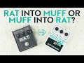 Rat Into Muff Or Muff Into Rat Experimenting With ProCo Rat And Electro Harmonix Big Muff